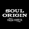 Store Logo for Soul Origin